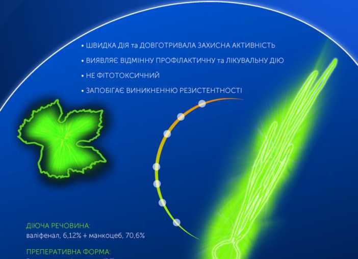 Засоби захисту рослин (ЗЗР) – що це, класифікація та застосування