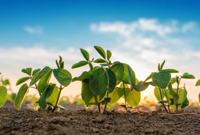 планирование весеннего старта посевной